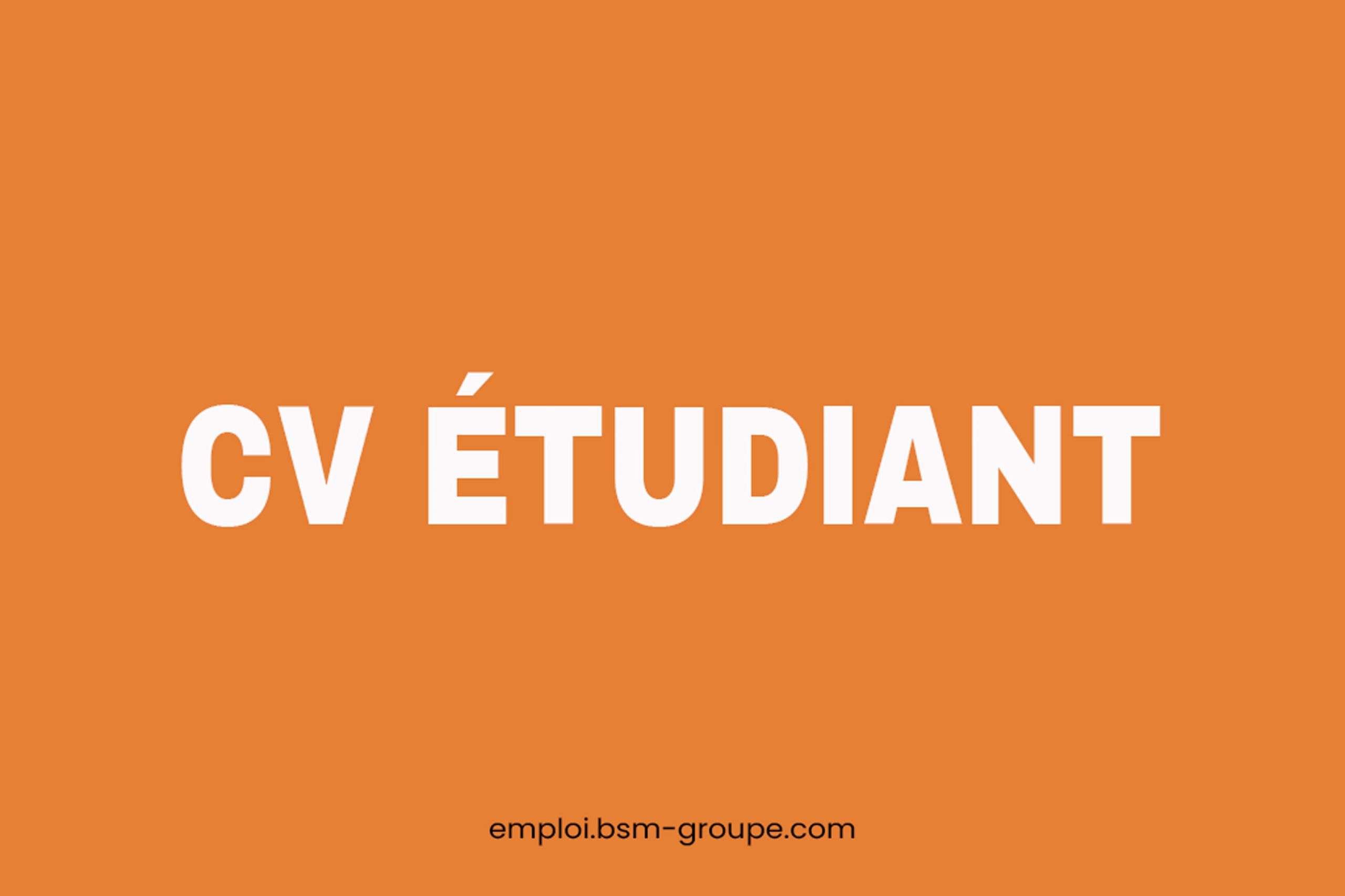 Comment rédiger un CV étudiant parfait ?
