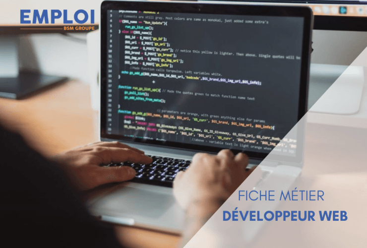 Fiche métier - Développeur Web
